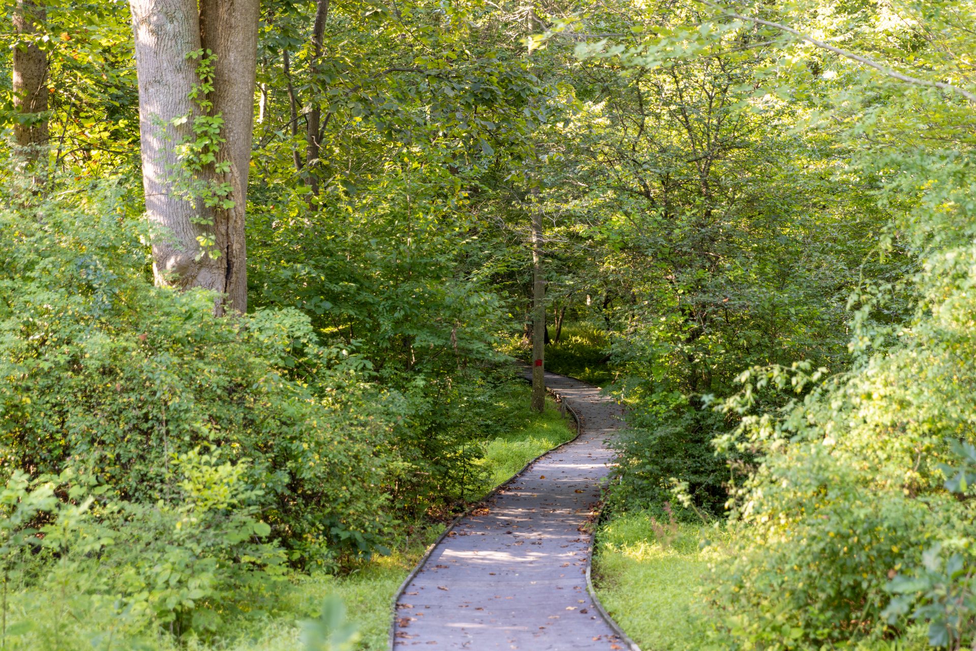 Ready for your next outdoor adventure?