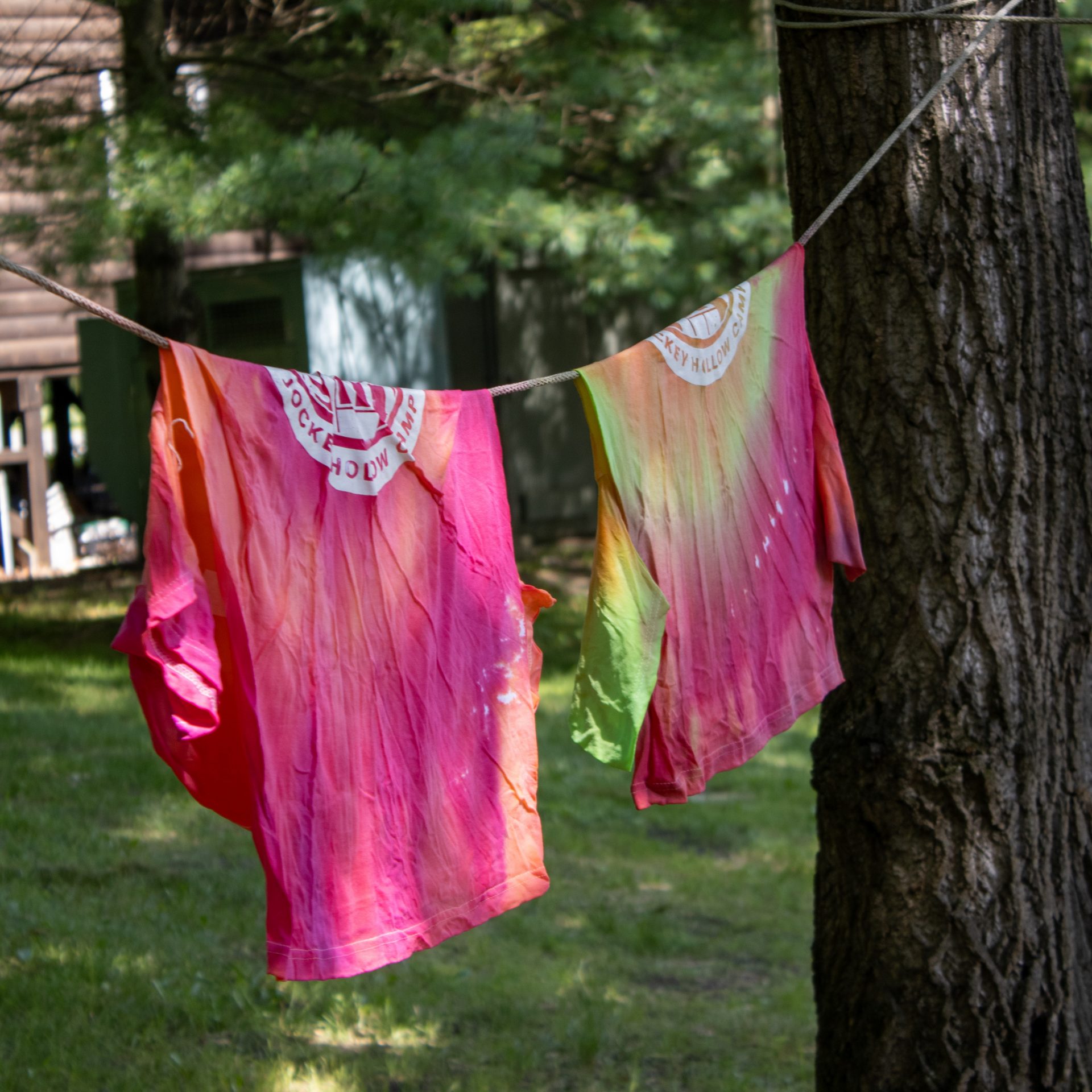 three girls roasting marshmallows 