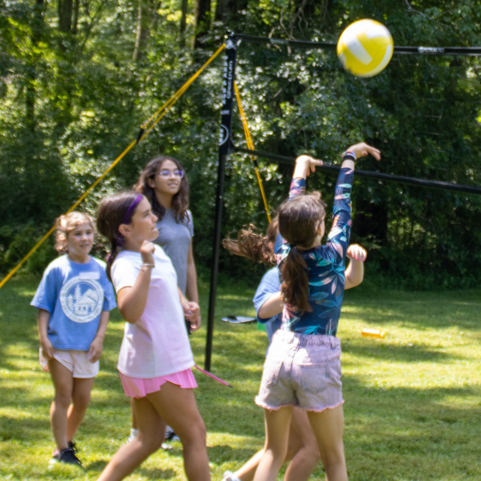 girls sitting in tree