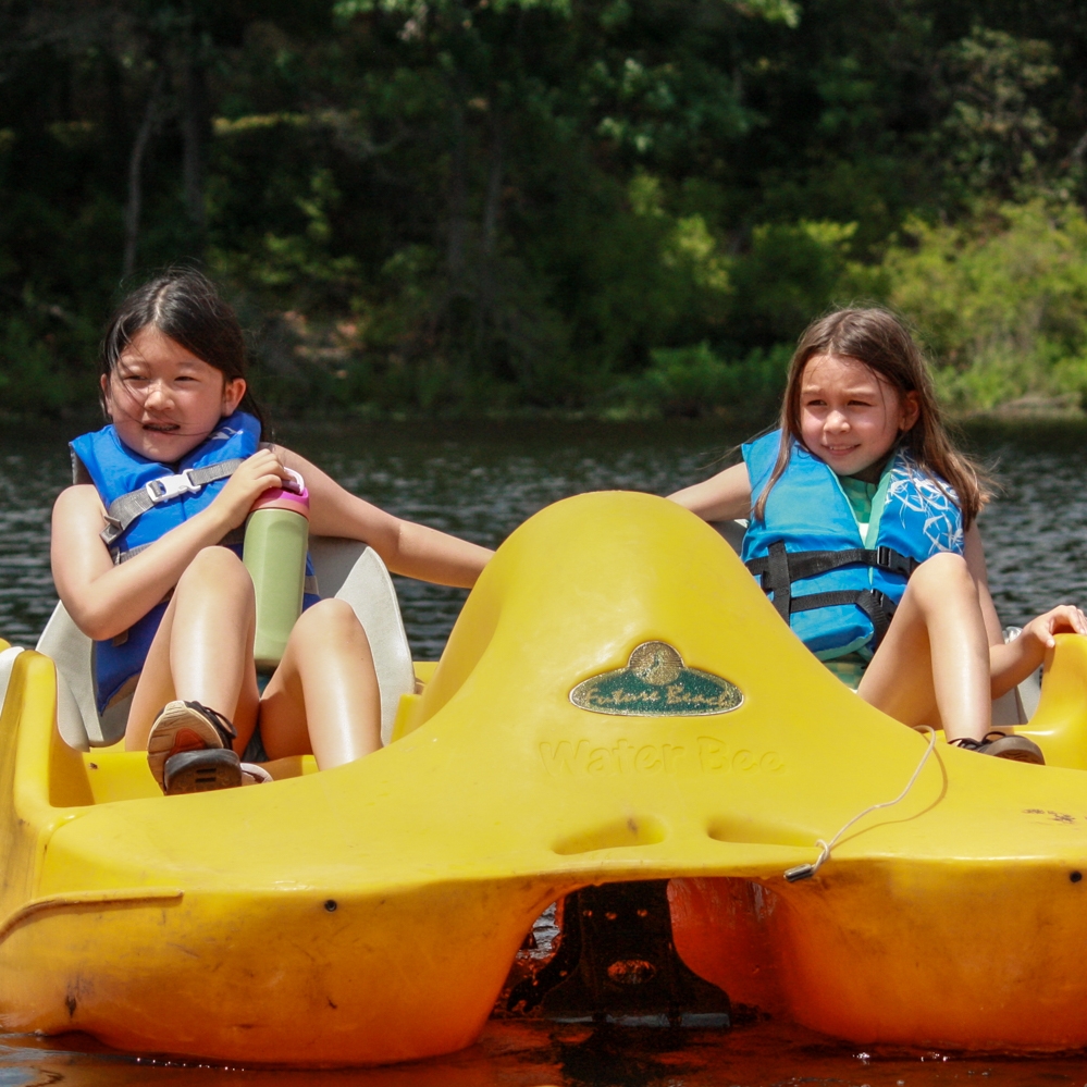 girls sitting in tree