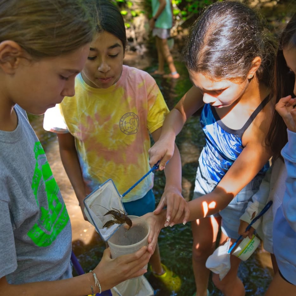 three girls roasting marshmallows 